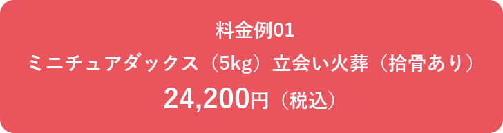 料金例01 ミニチュアダックス（5kg）立会い火葬（拾骨あり）24,200円（税込）