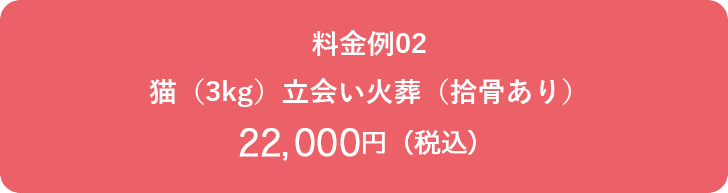 料金例02 猫（3kg）立会い火葬（拾骨あり）22,800円（税込）