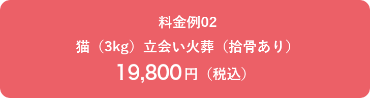 料金例02 猫（3kg）立会い火葬（拾骨あり）19,800円（税込）