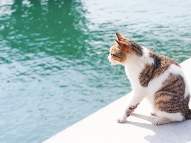 『お役立ちコラム』更新いたしました