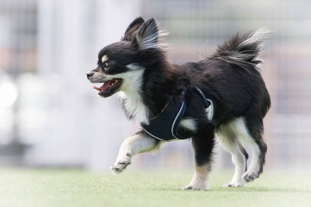 『お役立ちコラム』を更新いたしました