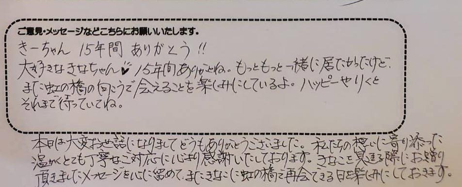 アンケート用紙