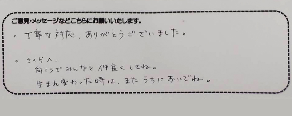 アンケート用紙