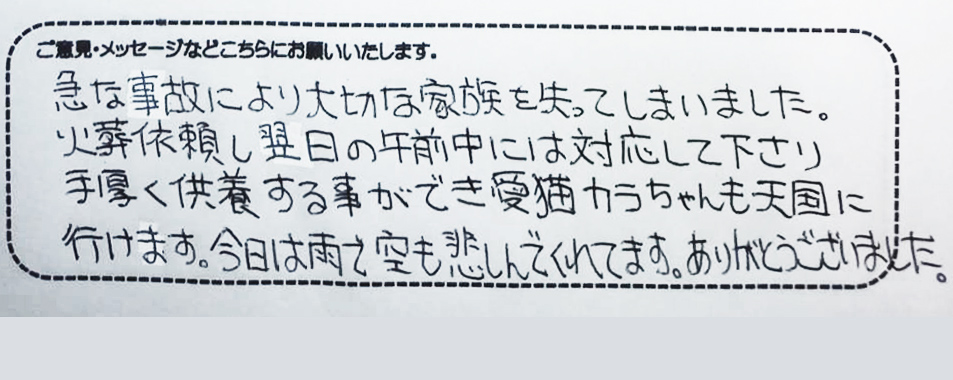 アンケート用紙