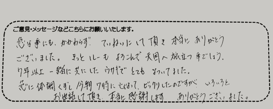 アンケート用紙