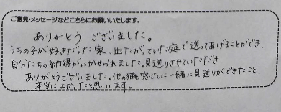 アンケート用紙