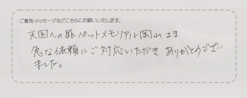 アンケート用紙