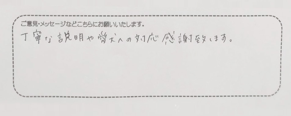 アンケート用紙