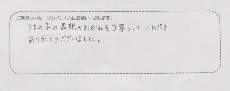 アンケート用紙
