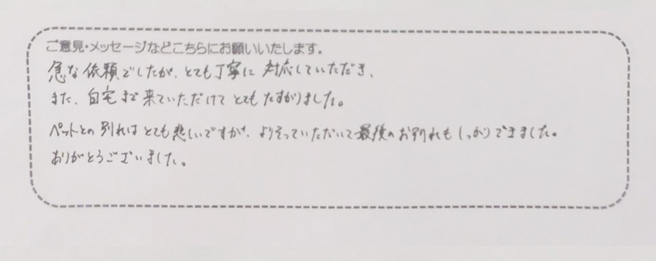 アンケート用紙