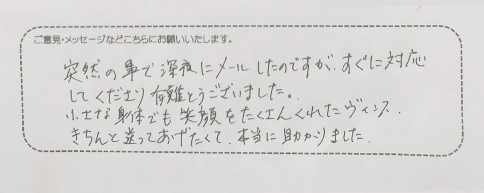 アンケート用紙