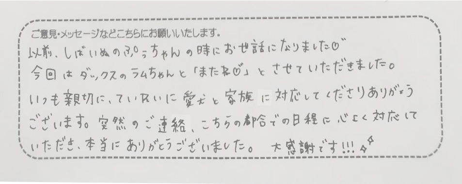 アンケート用紙