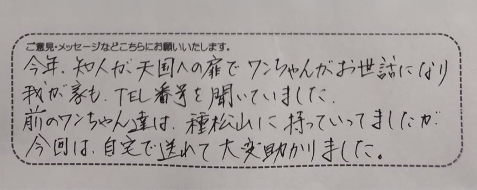 アンケート用紙