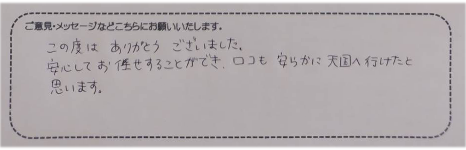 アンケート用紙