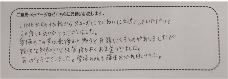 アンケート用紙