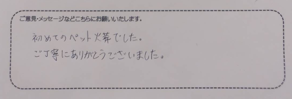 アンケート用紙