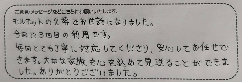アンケート用紙